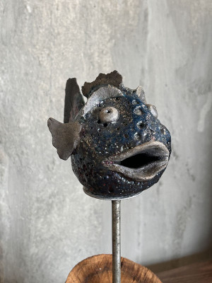 Poisson raku